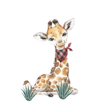 Väggklistermärke, Giraff
