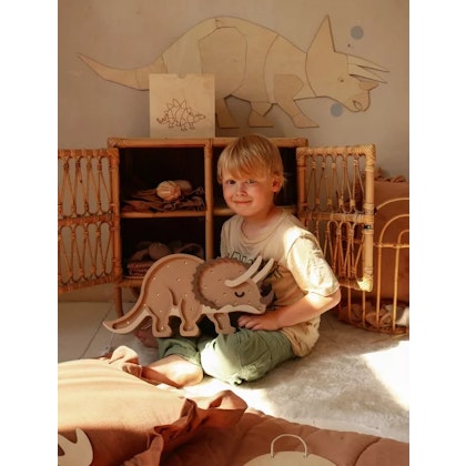 Little Lights, Night light for children's room Triceraptor brown