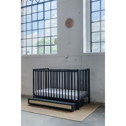 Cot Earthy, anthracite