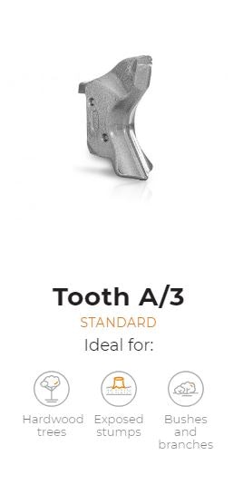 Tooth type A/3