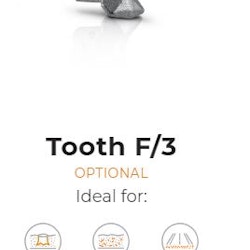 Tooth type F/3