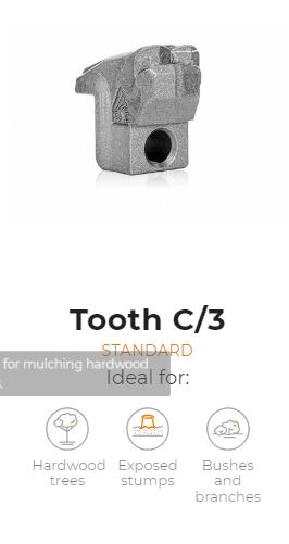 Tooth type C/3