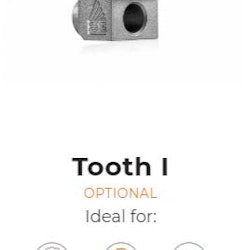 Tooth type I