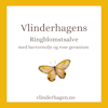 Vlinderhagens Ringblomstsalve med havtorn og rose geranium 15ml/30ml/60ml