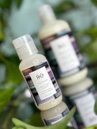 R+Co Television Perfect Hair Shampoo 60 ml