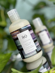 R+Co Television Perfect Hair Shampoo 251 ml