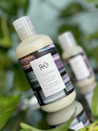 R+Co Television Perfect Hair Shampoo 251 ml