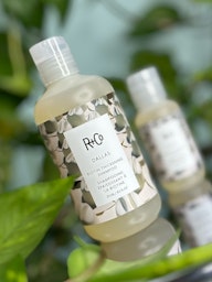 R+Co Dallas Biotin Thickening Shampoo 251 ml