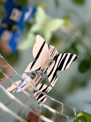 Stella Details Hårklämma fjäril ALVA Zebra
