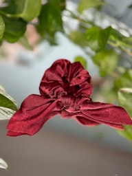 Stella details Scrunchie Rosett Ruby Red