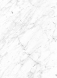 Carrara Bianco 6696