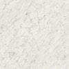 Carrara Bianco 6696