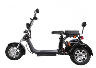 OBG Rides T1 *EU-Moped*