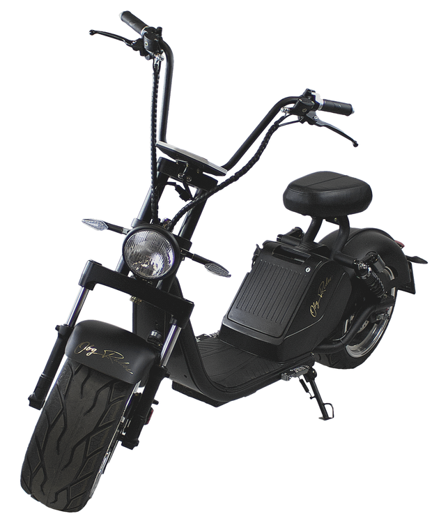 OBG Rides V6 EU-Moped
