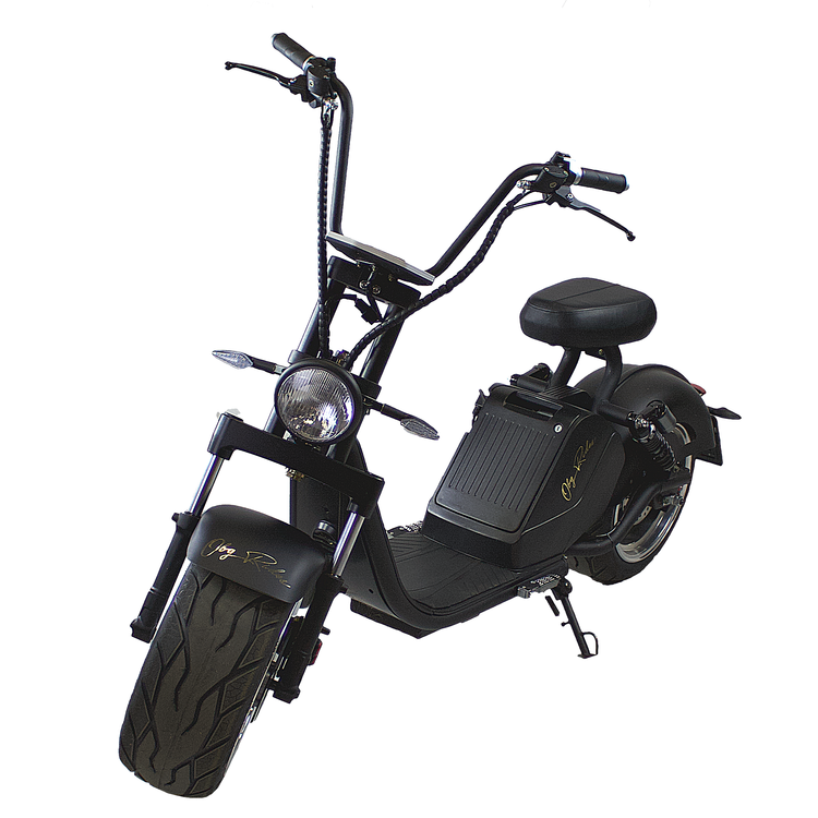 OBG Rides V6 EU-Moped