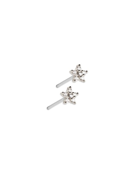 Örhänge Star small - PFG