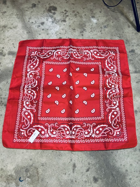 Snusnärduk/skarf clasic paisley Red - Liias Garderob