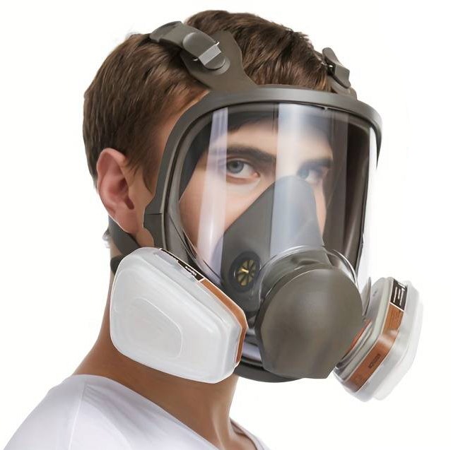 Full-face gas mask including filter