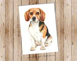Dog Beagle - Art print