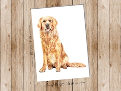 Dog Golden Retriever - Art print