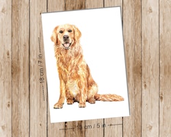 Dog Golden Retriever - Art print