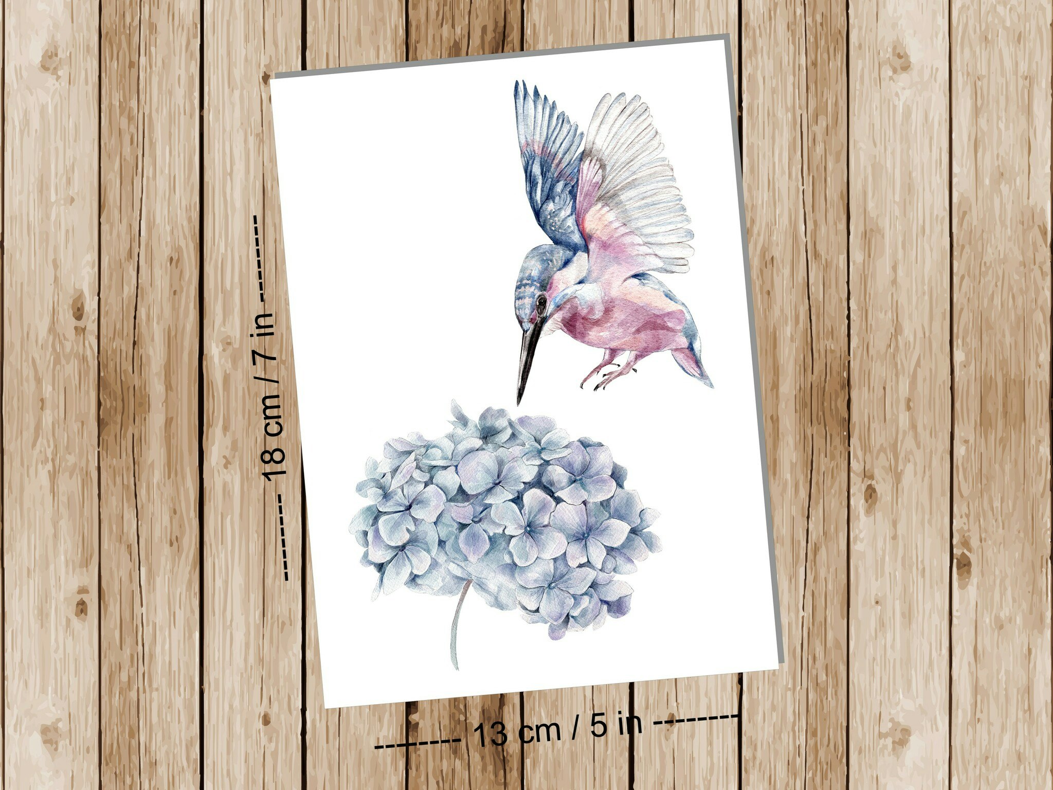 Bird and flower - Art print