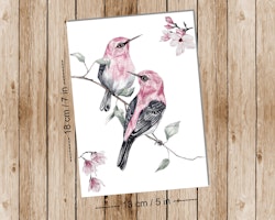 Spring birds - Art print