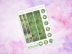 Hobonichi Weeks - Nature/Forest Photography