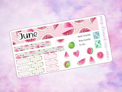 Hobonichi Weeks - June monthly