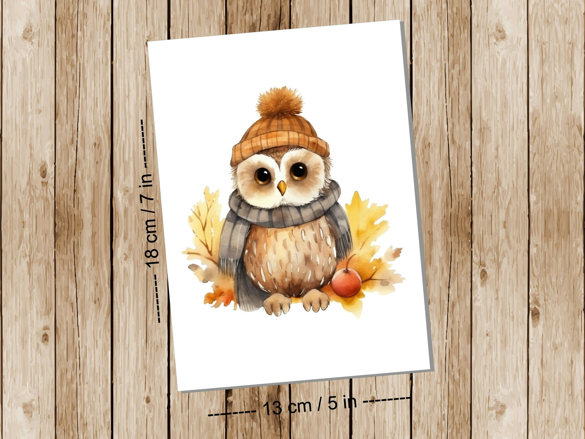 Fall Owl - Art print