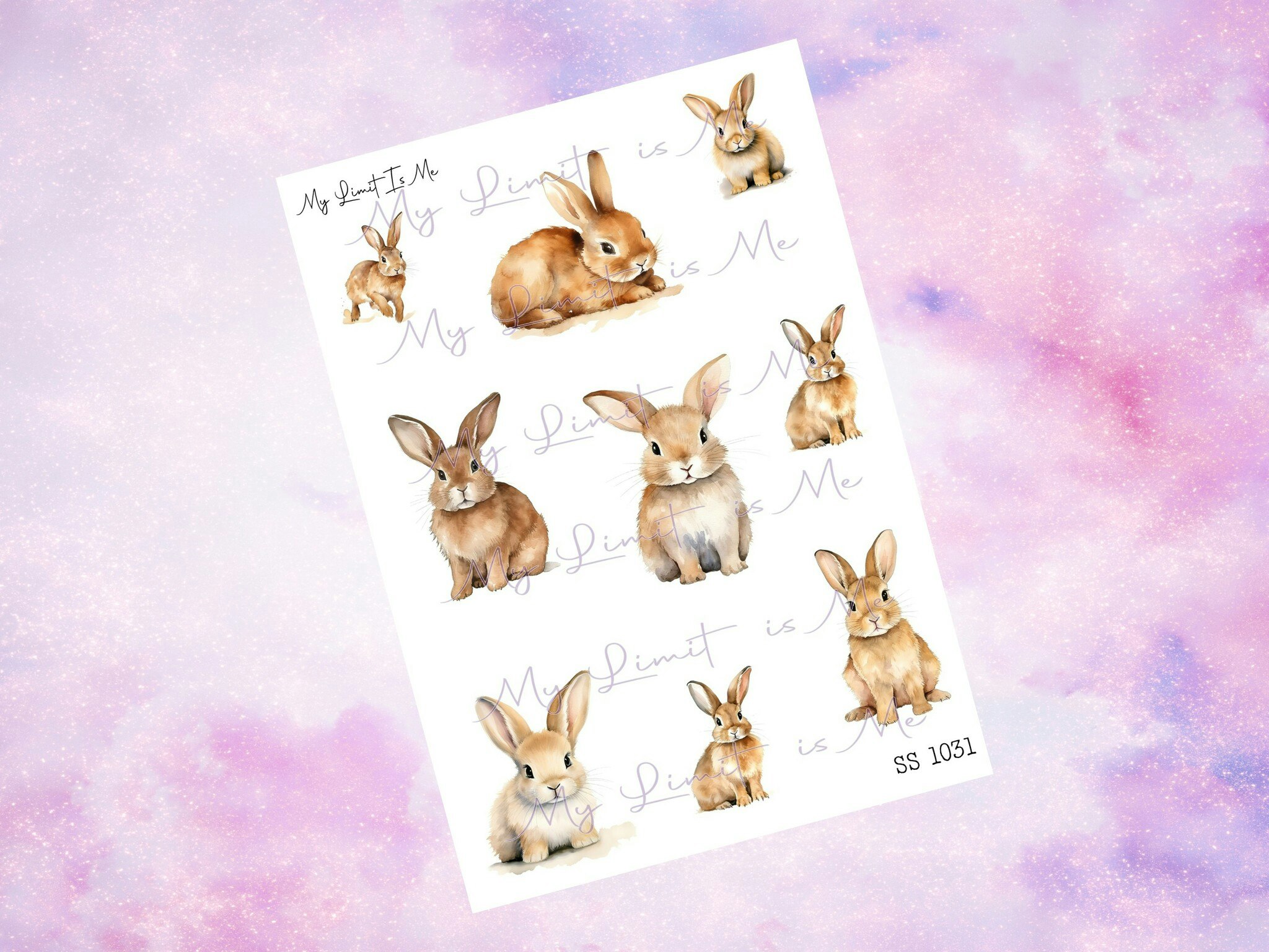 SS1031 Bunny