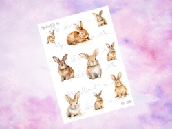 SS1031 Bunny