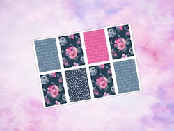 Happy Planner - HP1004 - Pink and Blue