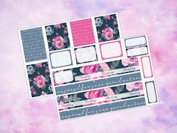 Happy Planner - HP1004 - Pink and Blue