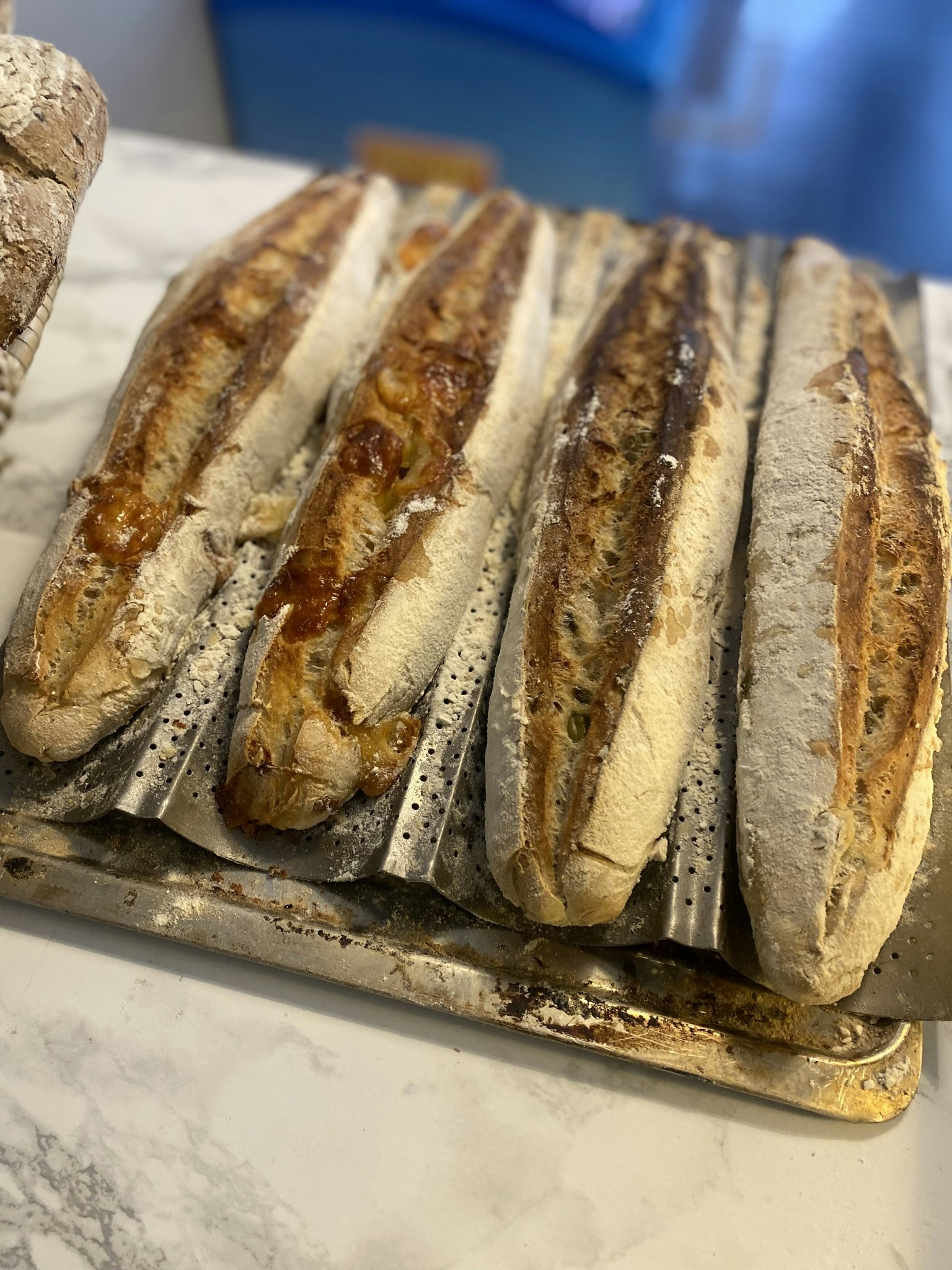 Levain baguette (lagrade ost )