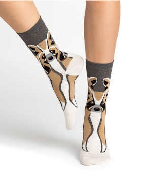 Raccoon Socks