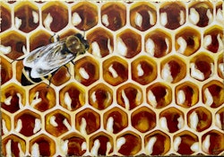 ”Bisyssla” tavla akryl på canvas 70x100 cm