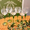 Vitvinsglas vinrankor grön fot