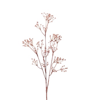 Talinum rosa 65 cm