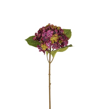 Hortensia lila 40 cm