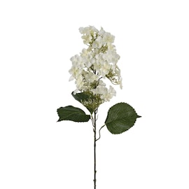 Syrénhortensia vit 80 cm
