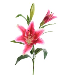 Lilja rosa 70 cm