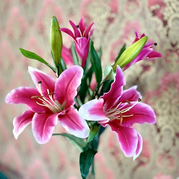 Bukett med tre rosa liljor 70 cm