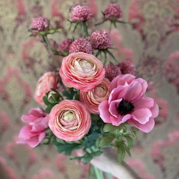 Amaranth rosa 60 cm