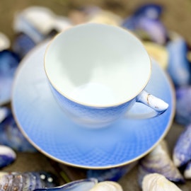 Kaffekopp med fat (guldkant) ”Blå Måsen” Bing & Grøndahl