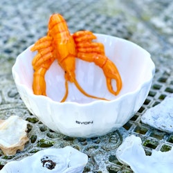 Skål ”Lobsti”