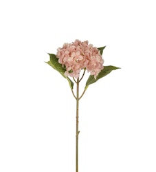 Hortensia rosa 40 cm