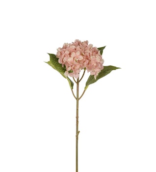 Hortensia rosa 40 cm