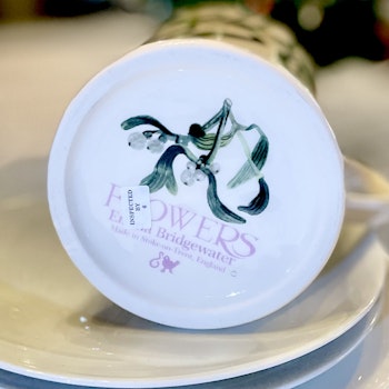 Mugg Emma Bridgewater Mistel