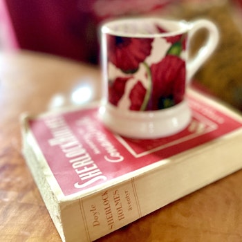 Mugg Emma Bridgewater Vallmo
